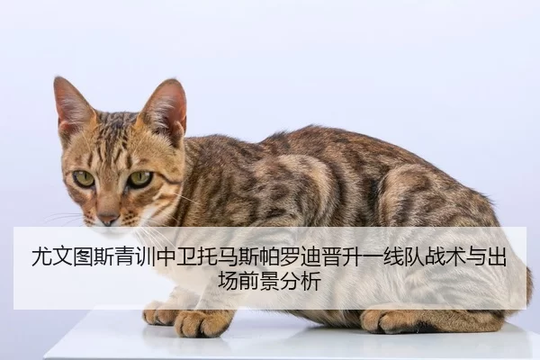 you-wen-tu-si-qing-xun-zhong-wei-tuo-ma-si-pa-luo-di-jin-sheng-yi-xian-dui-zhan-shu-yu-chu-chang-qian-jing-fen-xi-2-425.jpg