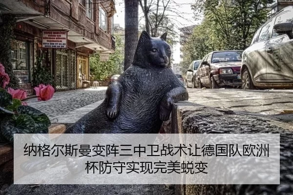 na-ge-er-si-man-bian-zhen-san-zhong-wei-zhan-shu-rang-de-guo-dui-ou-zhou-bei-fang-shou-shi-xian-wan-mei-tui-bian-3-970.jpg